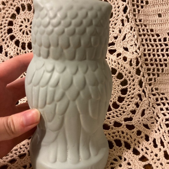 “Be Wise” Owl Bank - Pastel Chalk Paint Eggshell Blue - Picture 8 of 11